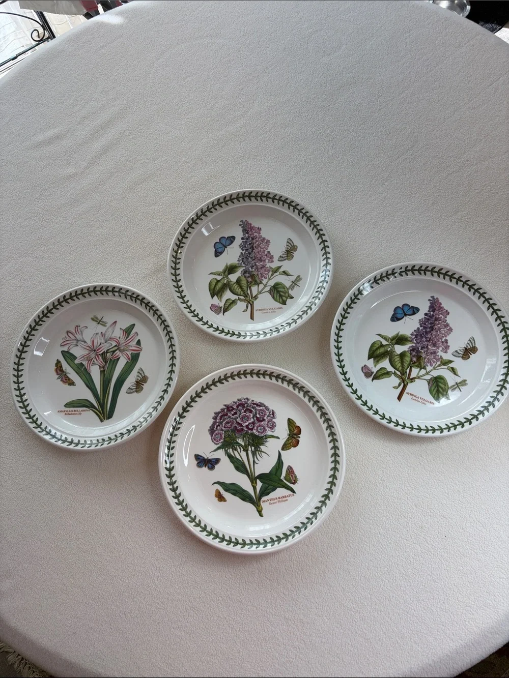 Portmeirion Botanic Garden 4 Salad plates
